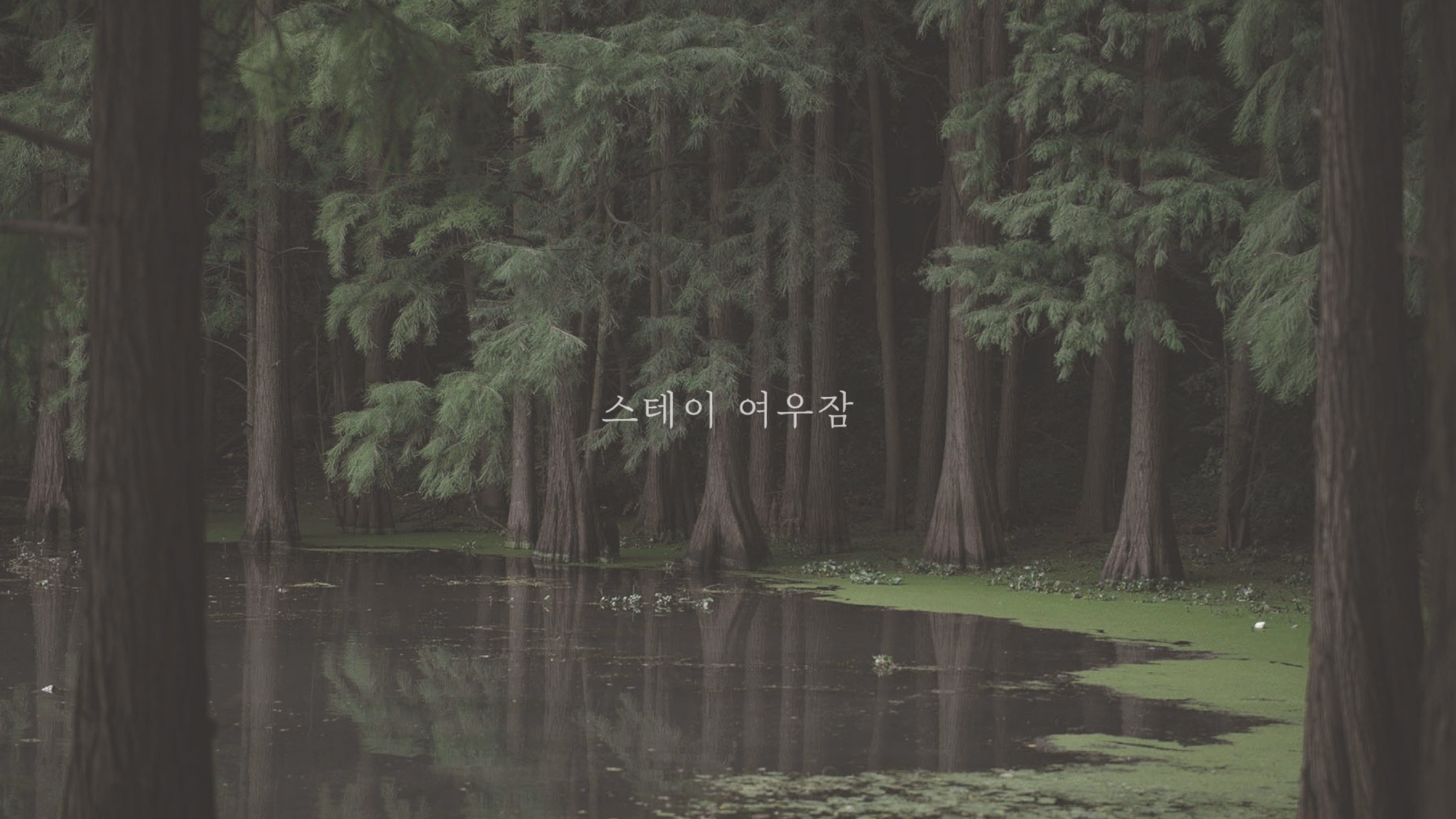 경주 한옥스테이 여우잠 3호점 사진 6